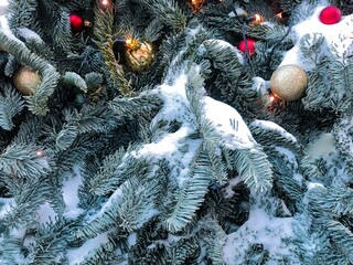 Festive background of blue Christmas tree branches covered with snow, with golden, red balls, garlands. Copy space