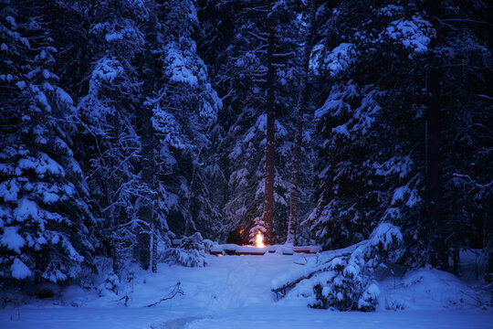 Bright bonfire in a winter forest. Snowy forest in cold winter evening. Caucasian man near the bonfire with sparks at night.