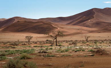 Fototapeta na wymiar Trockenes Flusstal im der Namibischen Wüste