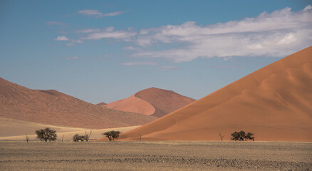 Fototapeta na wymiar Dunes in the Namibia desert (Sossusvlei area)