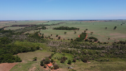 Fototapeta premium N.I.