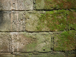 Abstract background from mossy wall