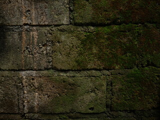 abstract background mossy wall green dark