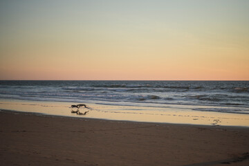 Paisaje de una palaya andaluza con un pueblo blanco 