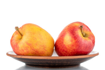 Two juicy red apples on a clay dish, close-up, isolated on white.