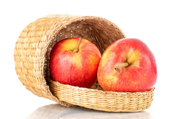 Two juicy red apples with a straw basket, close-up, isolated on white.