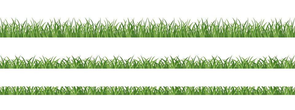 Seamless lawn grass. Elements for spring design, frames, decoration.