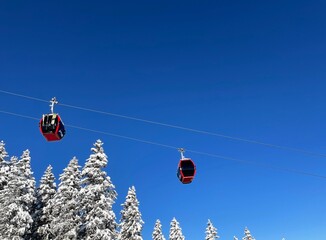 Red cable car and snow covered pine trees against blue sky in winter ski resort Golm, Montafon, Austria.