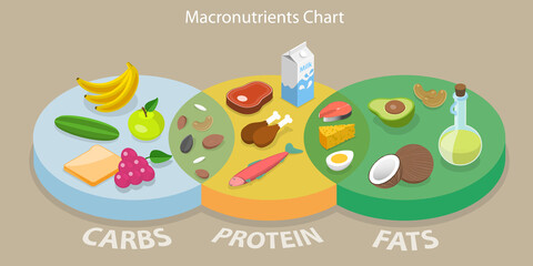 3D Isometric Flat Vector Conceptual Illustration of Macronutrients Chart, Dieting, Healthcare and Eutrophy