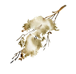 Watercolor branches set. Natural botanical illustration isolated on white.