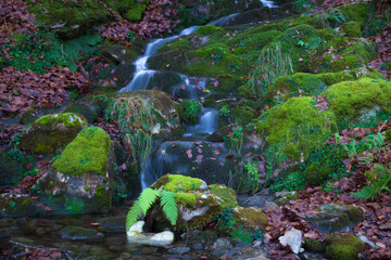 Cityscape of Selva de Irati (Navarra, Spain)