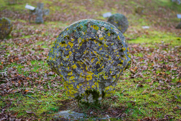 Cityscape of Selva de Irati (Navarra, Spain)