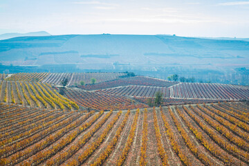 Cityscape of La Rioja (Spain)