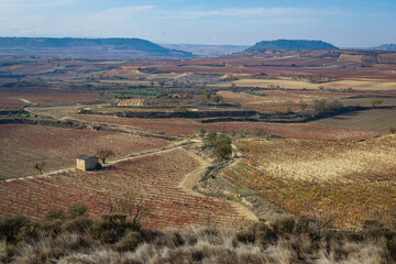 Fototapeta na wymiar Cityscape of La Rioja (Spain)