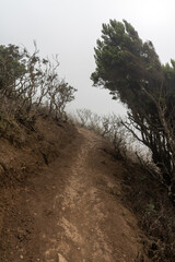 Natural landscape and mountain trails in the north of the island. Tenerife. Canary Islands. Spain.