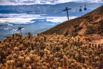 cabin train in moutains