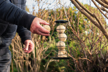 The hand of a senior man holding a suet, fat ball which is food for wild birds. He is next to the...