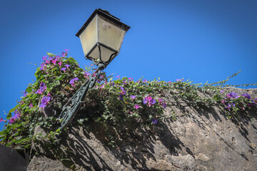 street lamp with purple and green flowers in the streets of Porto