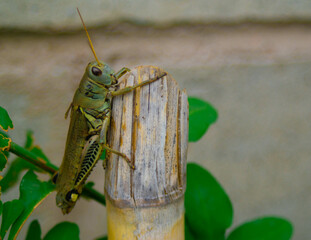Peque&ntilde;o ser, en un mundo inmenso.