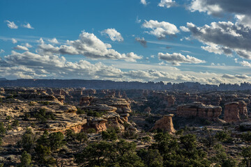 Fototapeta na wymiar Classic panorama in the Canyonland. View to the rocky cakes