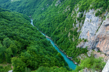 Fototapeta na wymiar Canyon River Tara in Montenegro