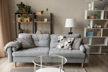 Comfortable grey sofa in empty cozy rent living room in own home dwelling. Comfy couch furniture with no people in renovated new house or apartment. Moving, relocation, interior design concept.