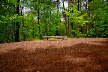 Wooden bench. Wooden bench in the trekking trail in the forest