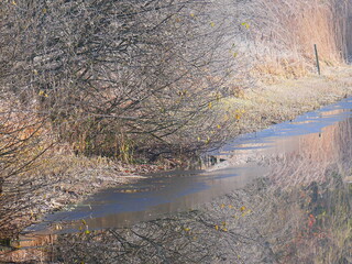 Colourfull winter landscape; ferrytale; christmas card; frost and sunlight on winter morning
