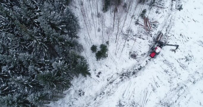 An aerial view of a small clear-cut area after deforestation with a red forwarder collecting timber on winter day in European forest, Estonia.