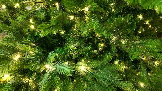 Close-up shot of Christmas tree with decoration lights. Green natural spruce background. Warm yellow color of garland. Festive textured pattern. New Year holiday decor. Copy space. Video footage.