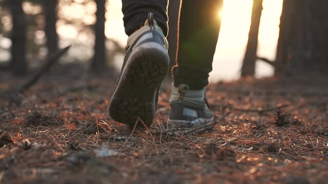 Hiking in the forest. Tourist shoes in the forest park. People travel in nature. Summer woman legs in nature park. Adventure tourist on vacation. Tourist feet in the forest park. Trekking Hiking