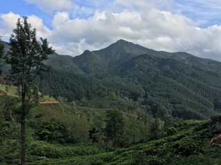 Fototapeta premium mountains in the sri lanka