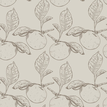 Graphic apples in craft style. Botanical illustration. Minimalism. Seamless pattern. Fruit print. © Elena GSem