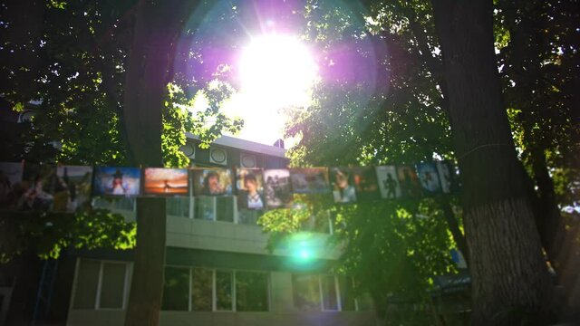 street decoration. photos on a rope. garland with photos. photos are hanging, fastened with clothespins, on a rope. backdrop of green foliage in summer sunlight backlight.
