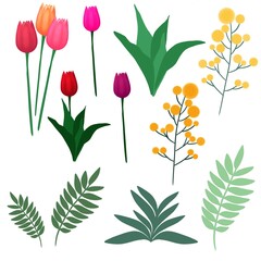 illustration of a flower