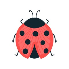 Cute ladybug isolated on white background, flat style