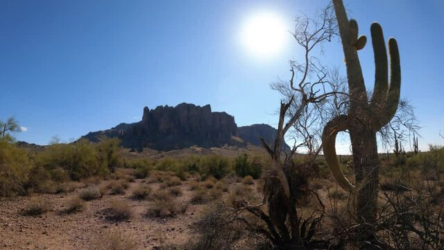 Camera Pans from Cactus to Mountain in Arizona Desert
