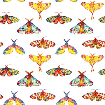 Colorful abstract aquarelle moths hand painted seamless background on white.