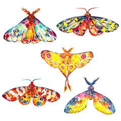 Set of Colorful decorative Moths watercolor hand painted illustration isolated on white.
