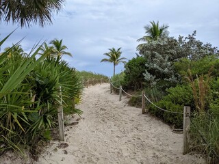 Fototapeta premium Overview of Miami Beach, FL - November 2021