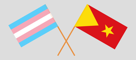 Crossed flags of transgender pride and Tigray. Official colors. Correct proportion