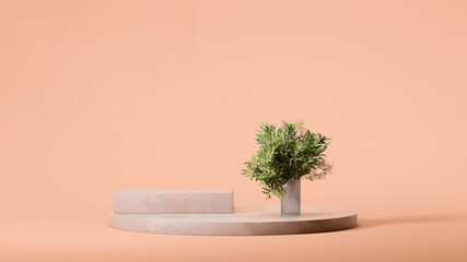 Square showcase and palm tree in vase on round podium display on pale peach colored background. Minimal design. Copy space. 3d rendering.