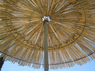 umbrella