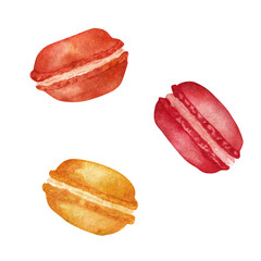 Macaroon, watercolor element on a white background.