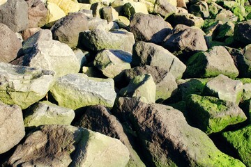 Beach green moss rocks background