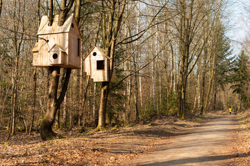 baumhäuser baumhaus im wald vogelhaus