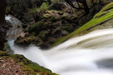 waterfall in the forest