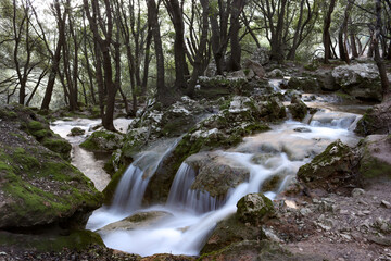 waterfall in the woods