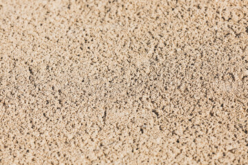 The texture of wet sand.