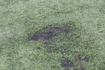 Artificial turf is damaged.
